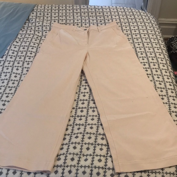 Everlane Wide Leg Chinos in Blush Sz 12 - Picture 3 of 3